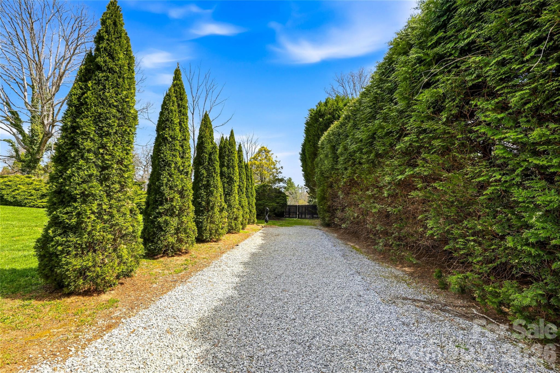 910 Rutledge Annex - Photo 42