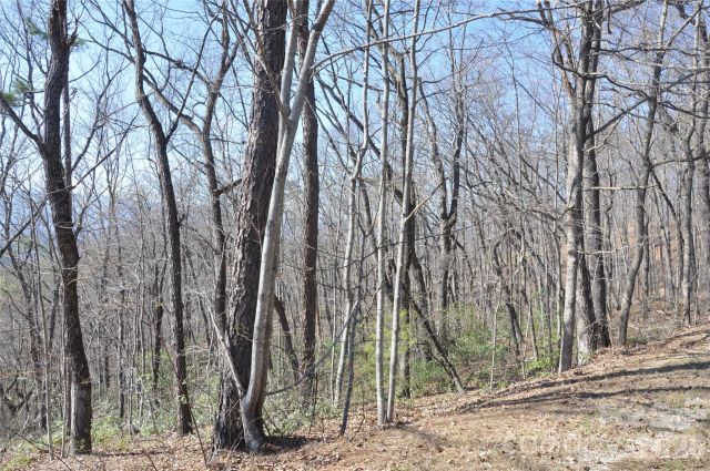 TBD Mountain Crest Drive, Marion, NC, 28752