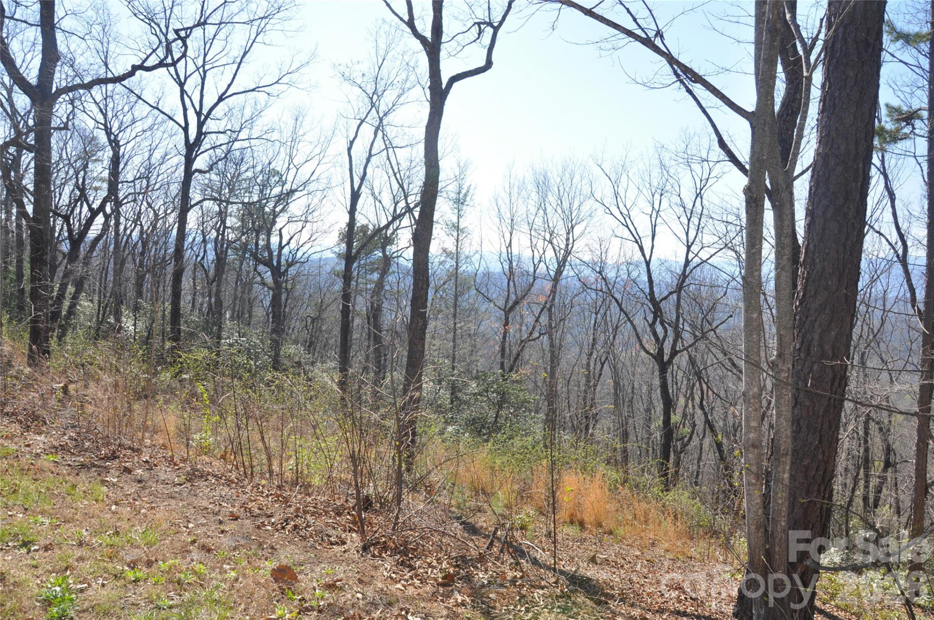 TBD Mountain Crest Drive #41 - Photo 2