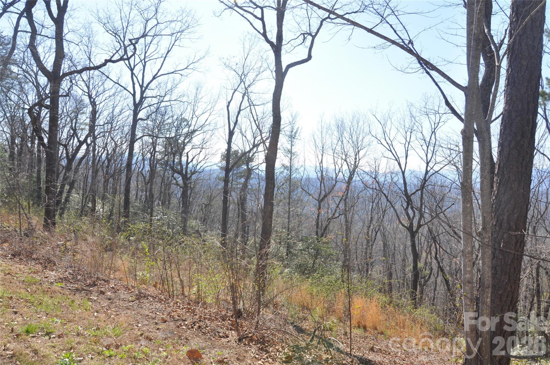 TBD Mountain Crest Drive #41 - Photo 3