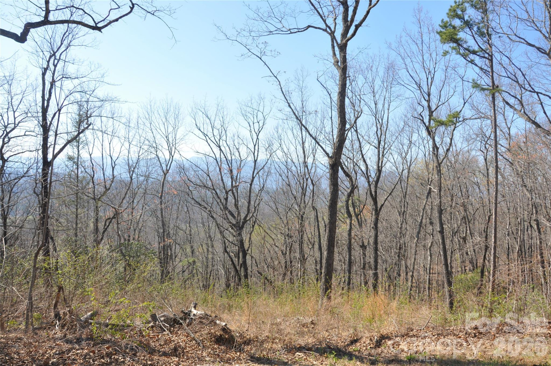 TBD Mountain Crest Drive #41 - Photo 4