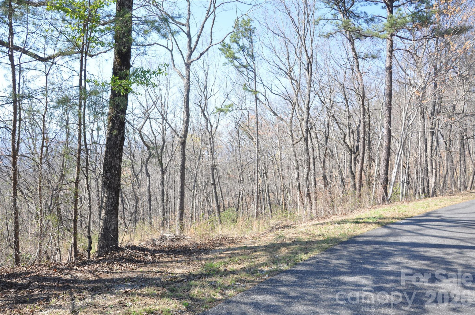 TBD Mountain Crest Drive #41 - Photo 5