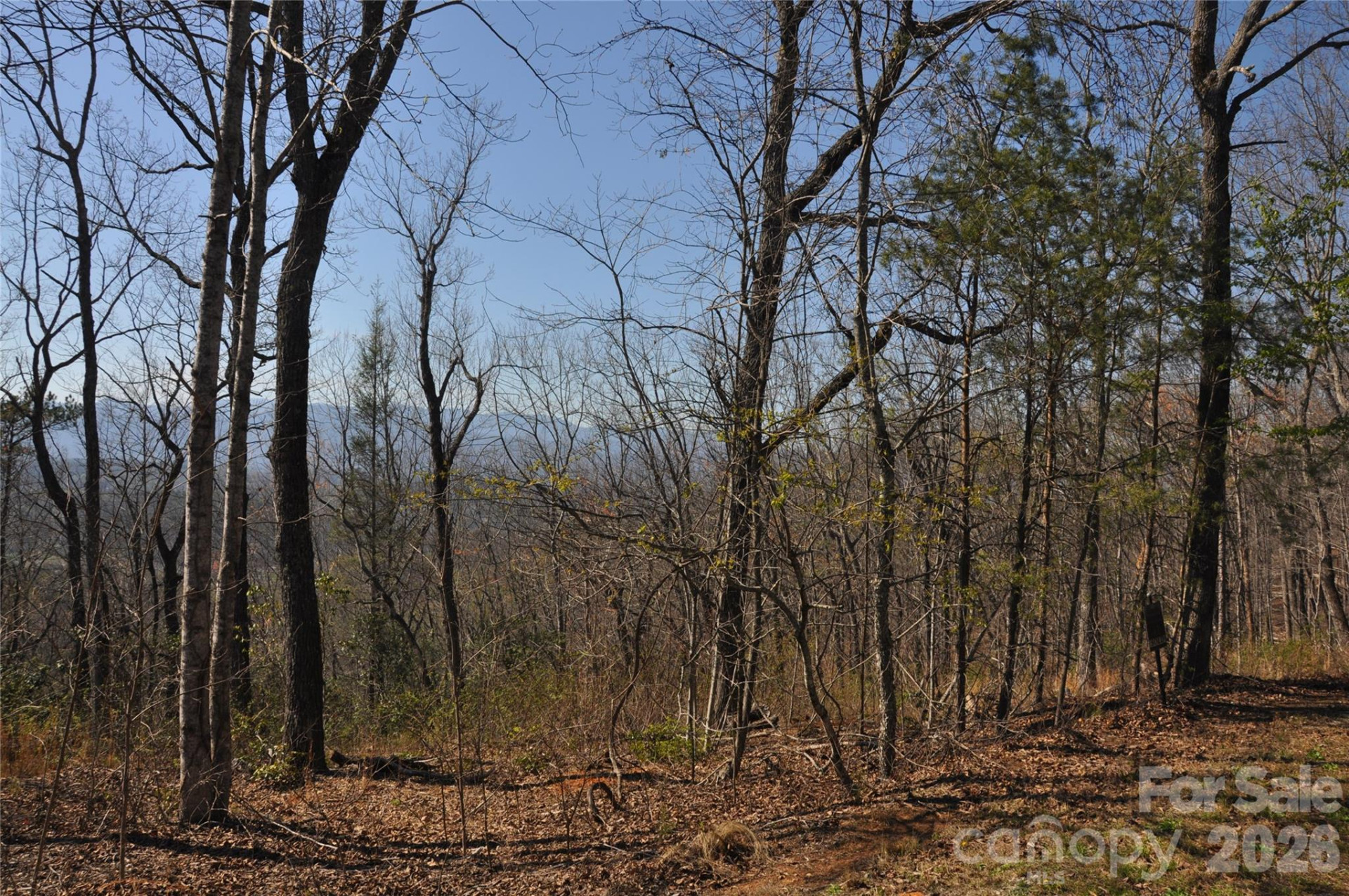 TBD Mountain Crest Drive #41 - Photo 6