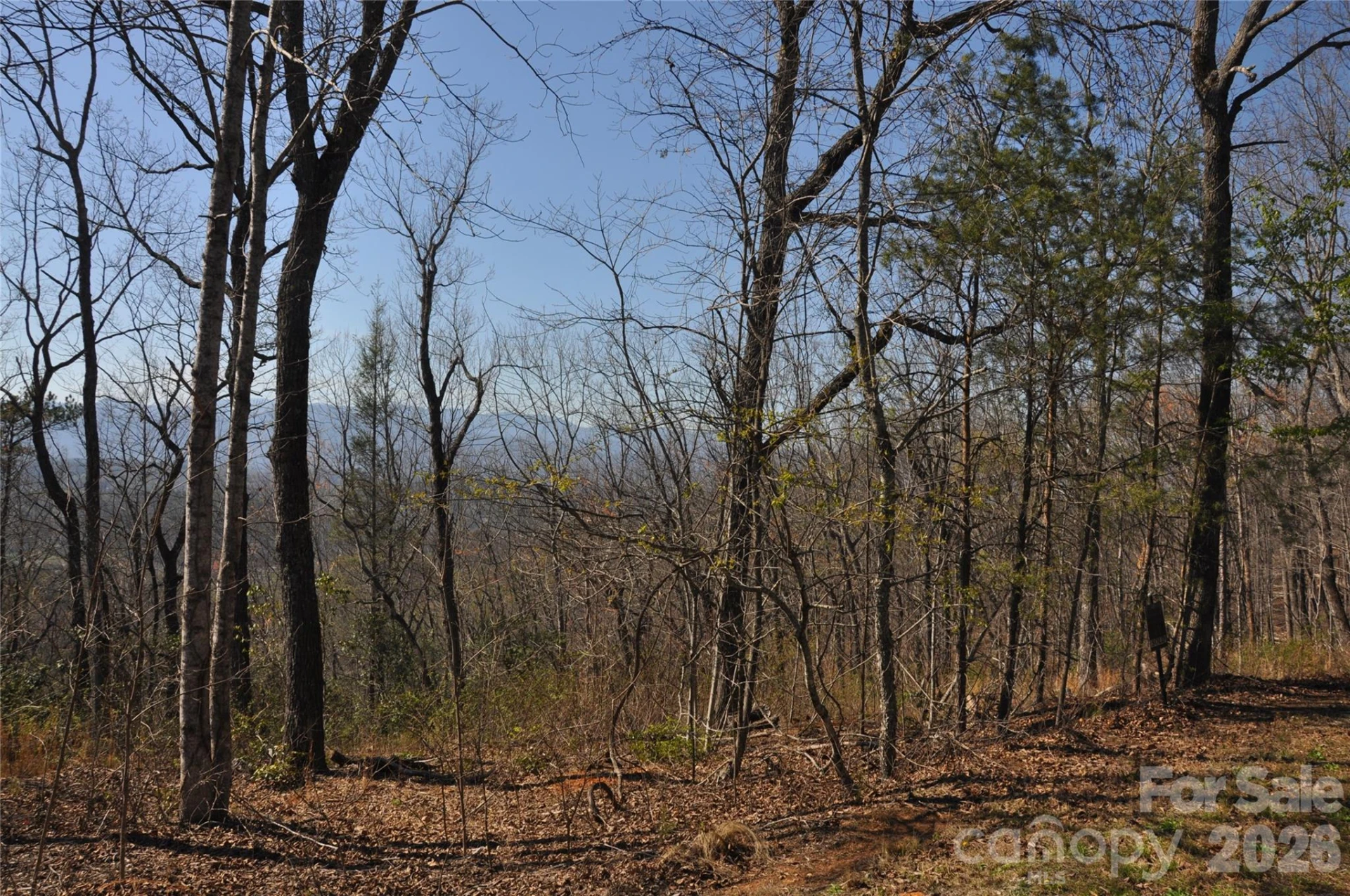 TBD Mountain Crest Drive #41 - Photo 6