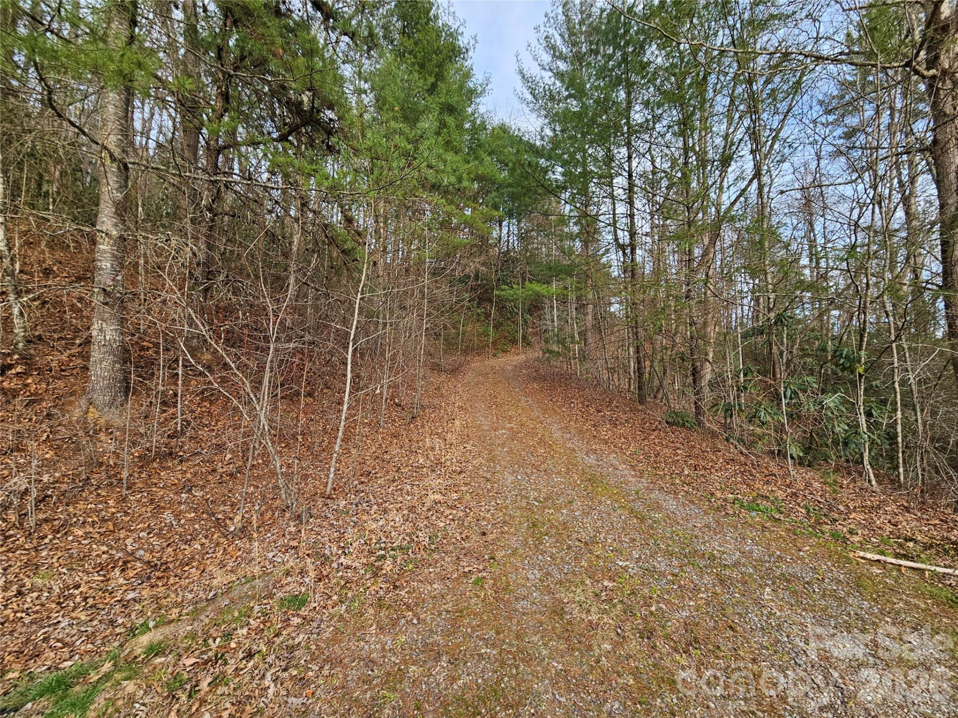 00 Wispy Willow Drive #22T - Photo 2