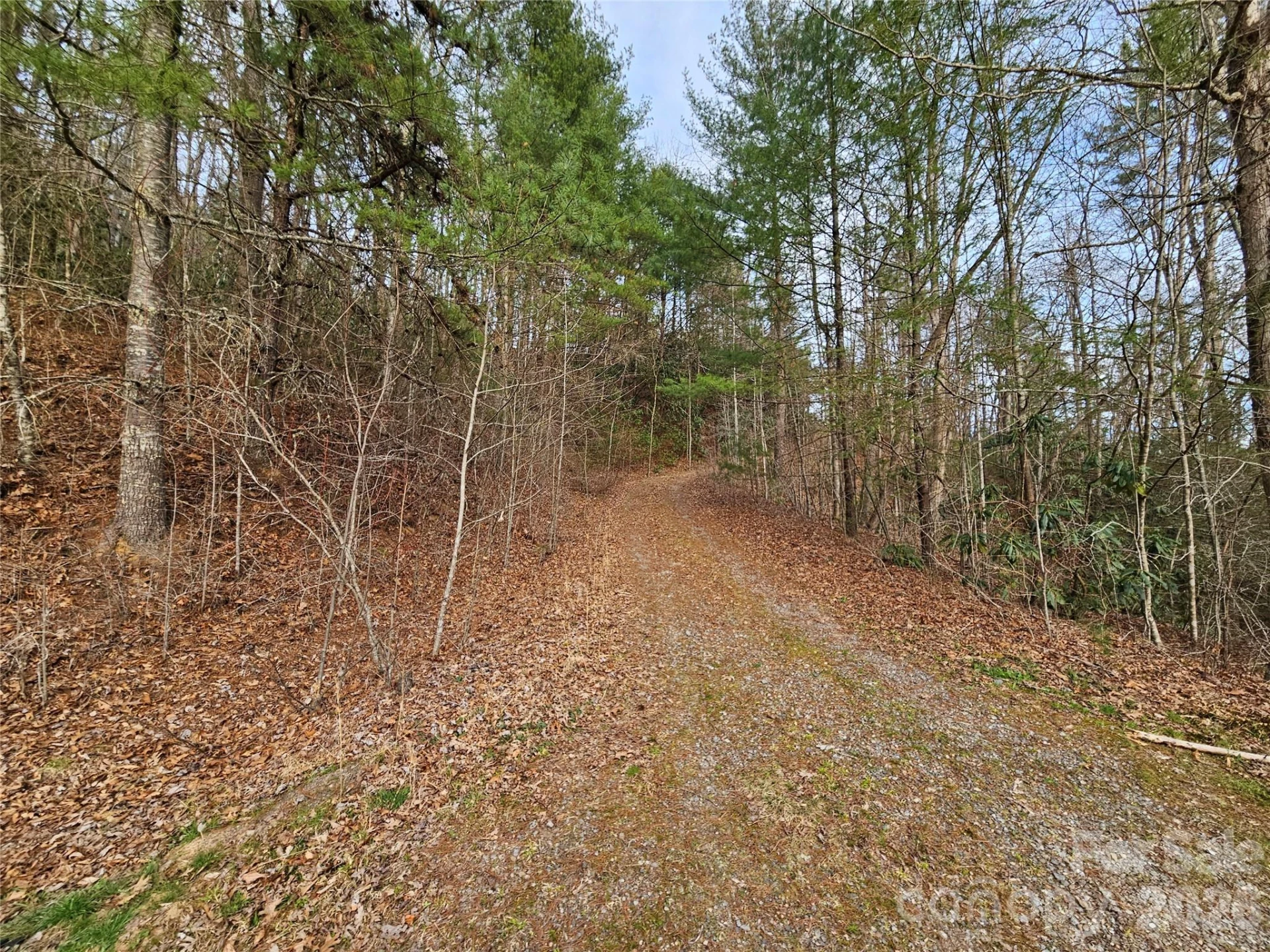 00 Wispy Willow Drive #22T - Photo 2
