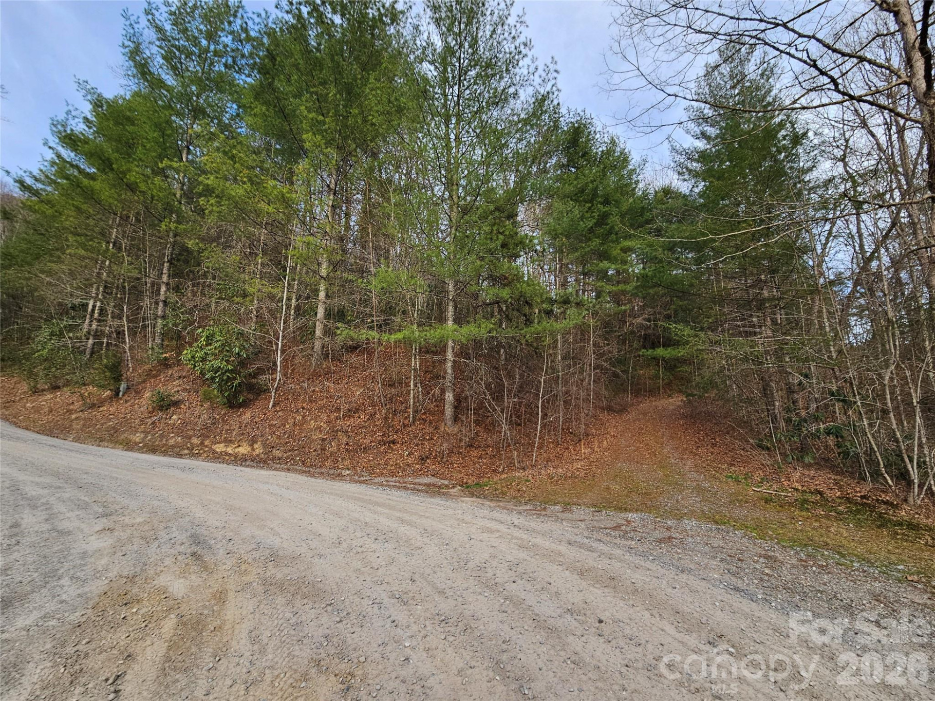 00 Wispy Willow Drive #22T - Photo 3