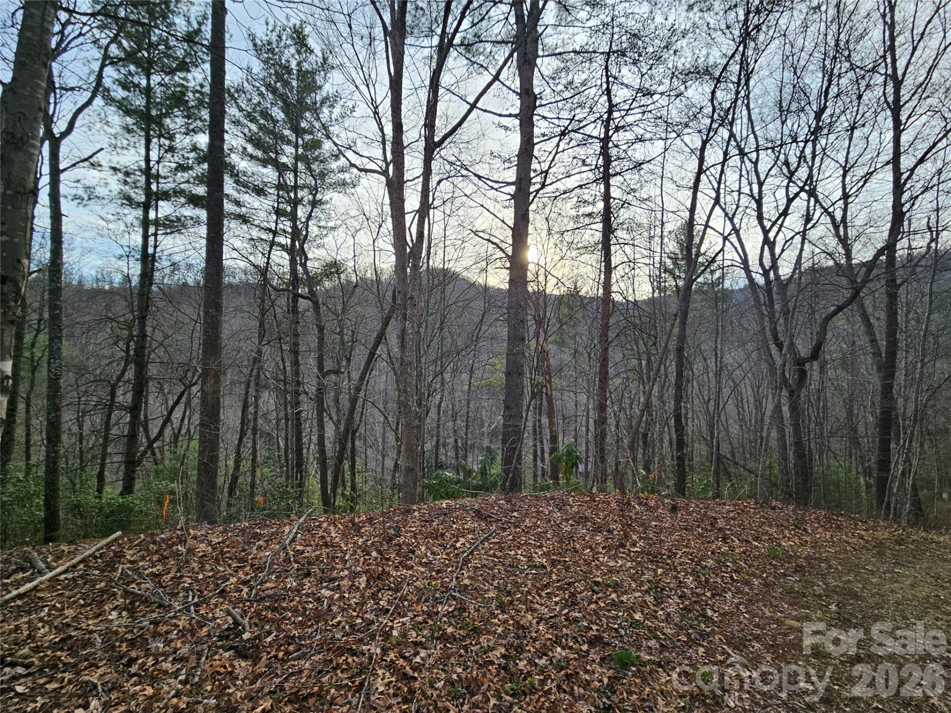 00 Wispy Willow Drive #22T - Photo 5