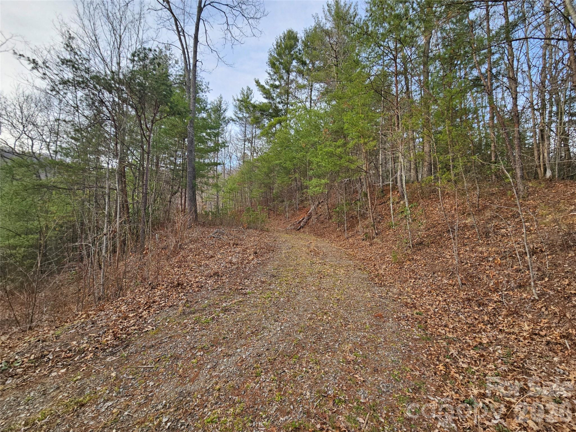 00 Wispy Willow Drive #22T - Photo 6