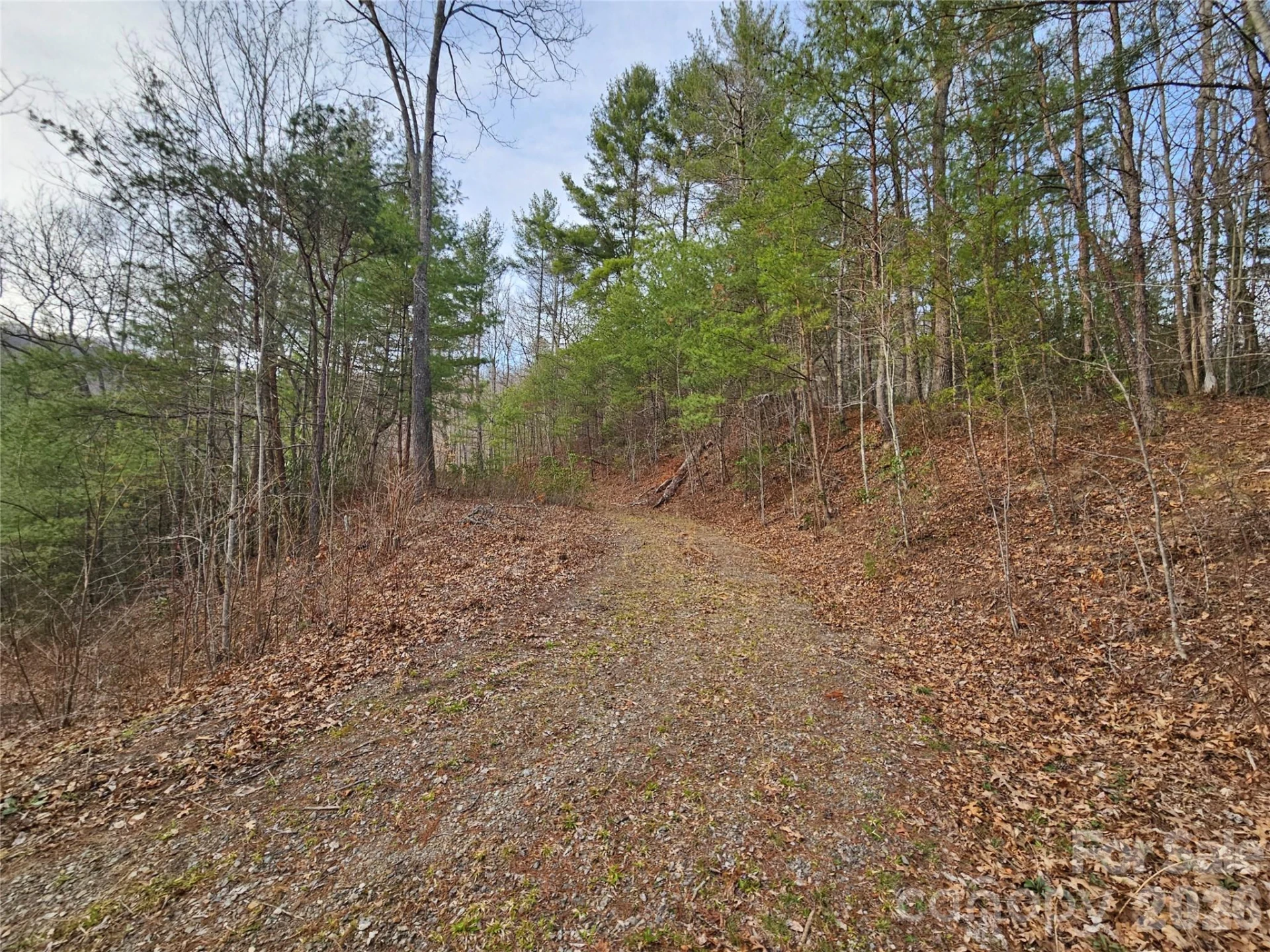 00 Wispy Willow Drive #22T - Photo 6