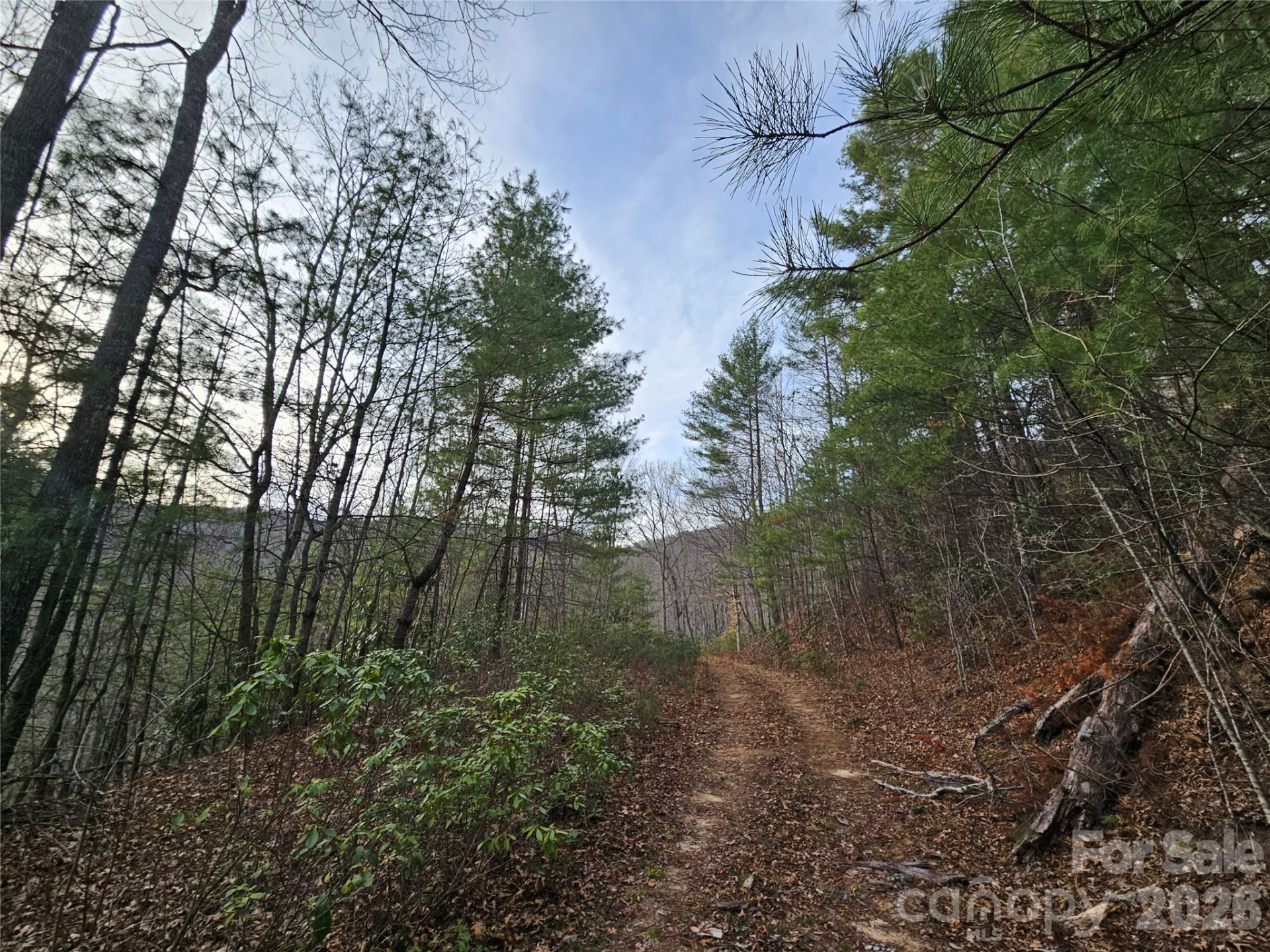 00 Wispy Willow Drive #22T - Photo 7