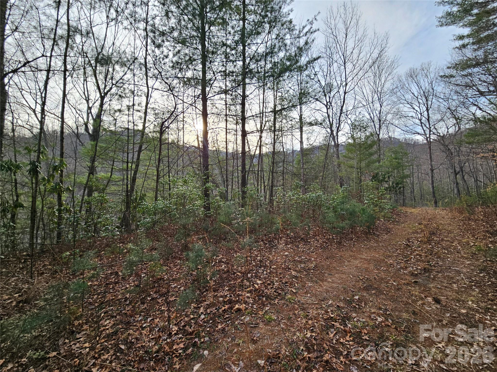 00 Wispy Willow Drive #22T - Photo 8