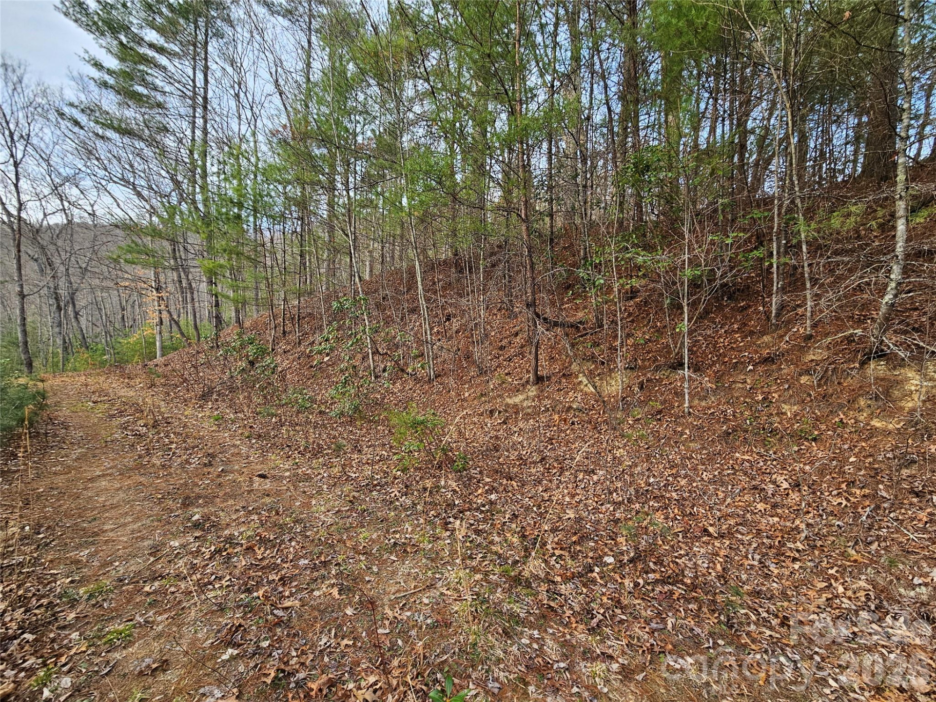 00 Wispy Willow Drive #22T - Photo 9