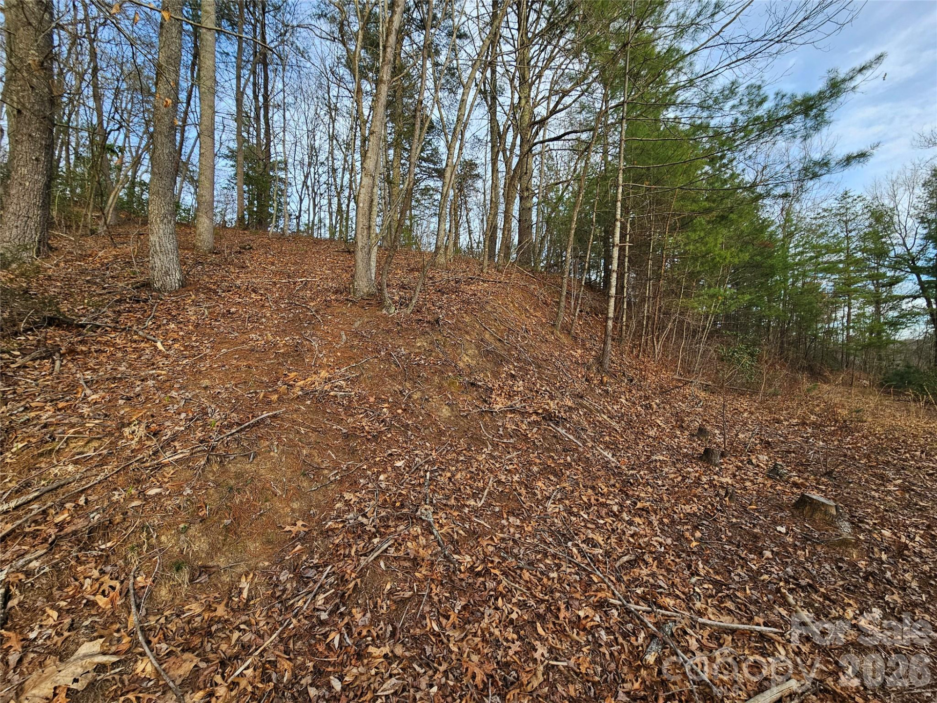 00 Wispy Willow Drive #22T - Photo 10