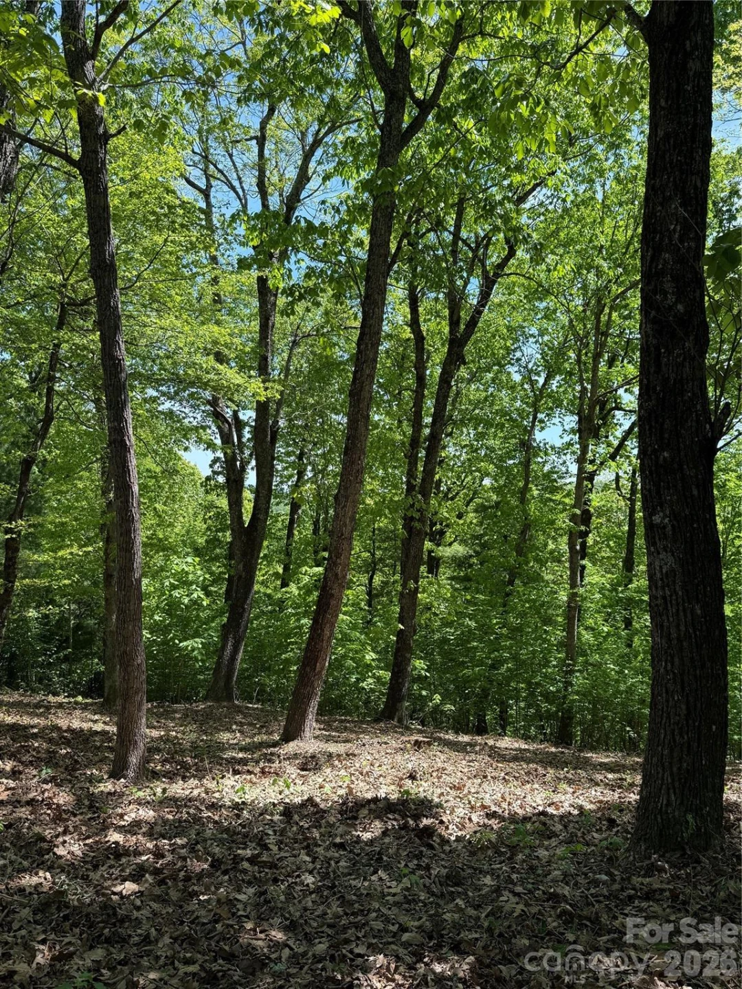 108 Fawncrest Court #51 - R - Photo 2