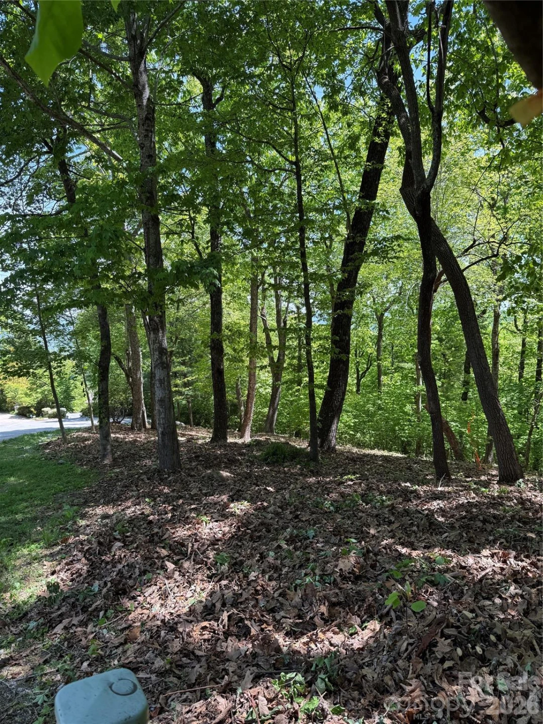 108 Fawncrest Court #51 - R - Photo 16