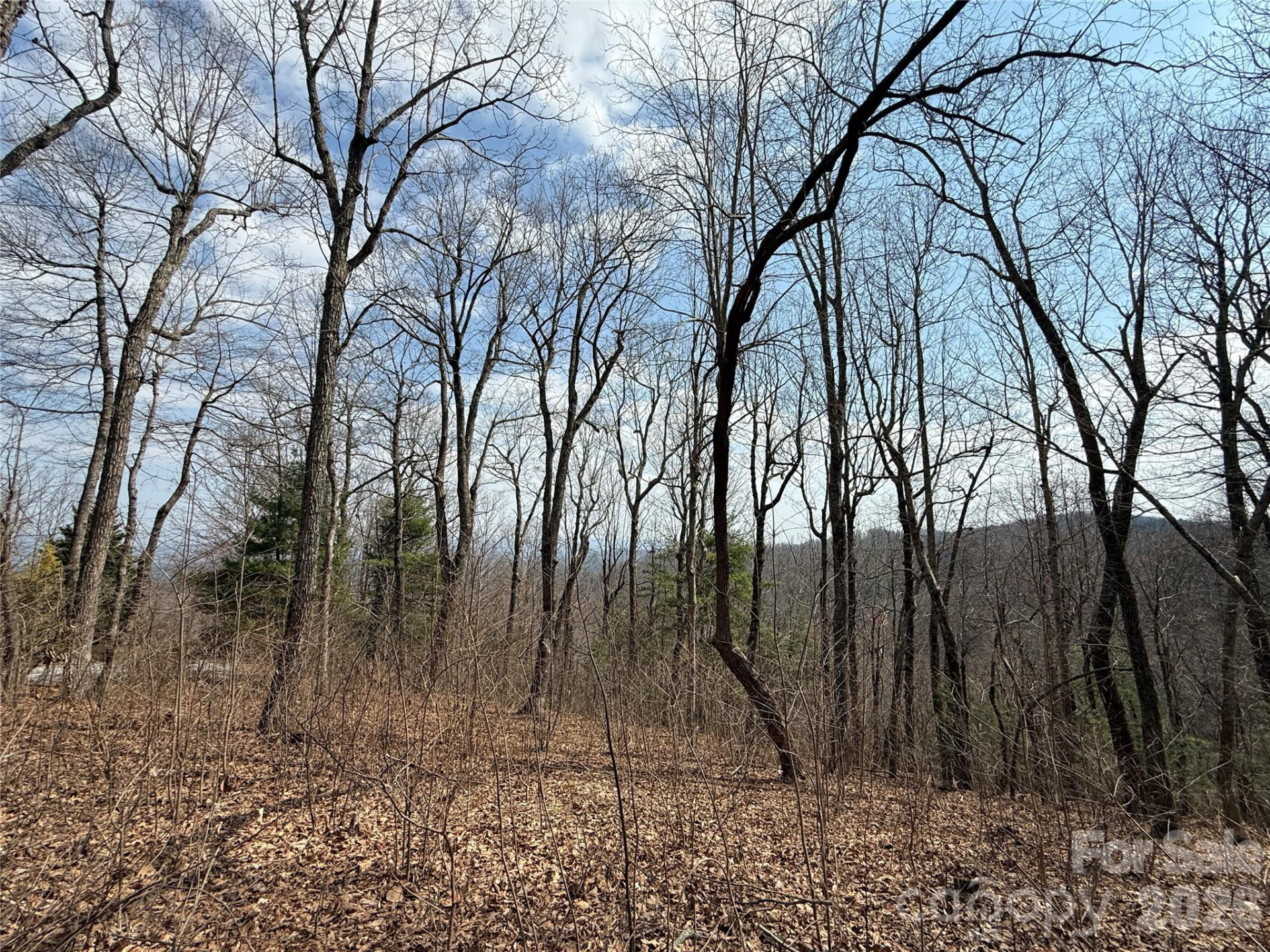 108 Fawncrest Court #51 - R - Photo 13