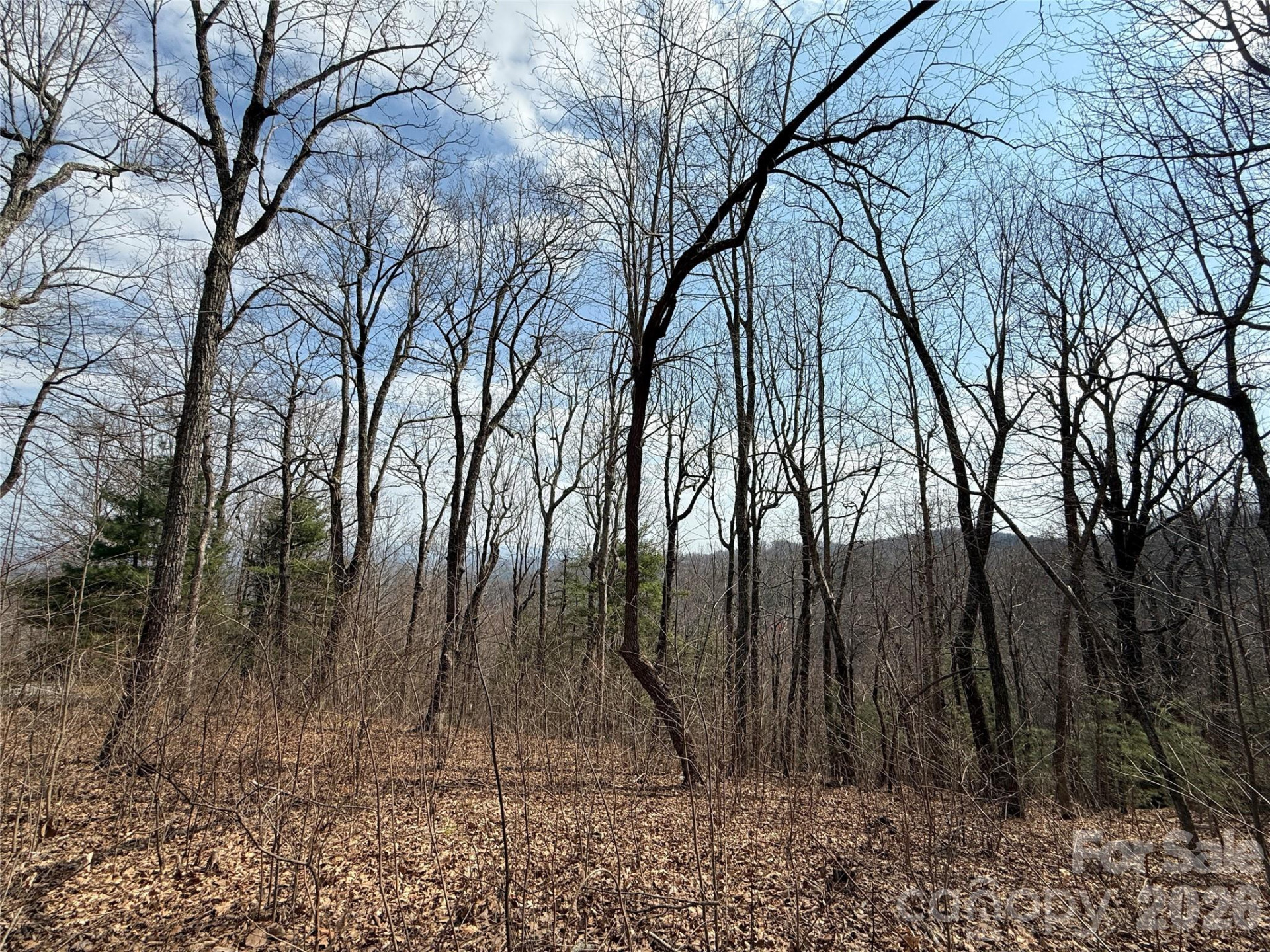 108 Fawncrest Court #51 - R - Photo 14