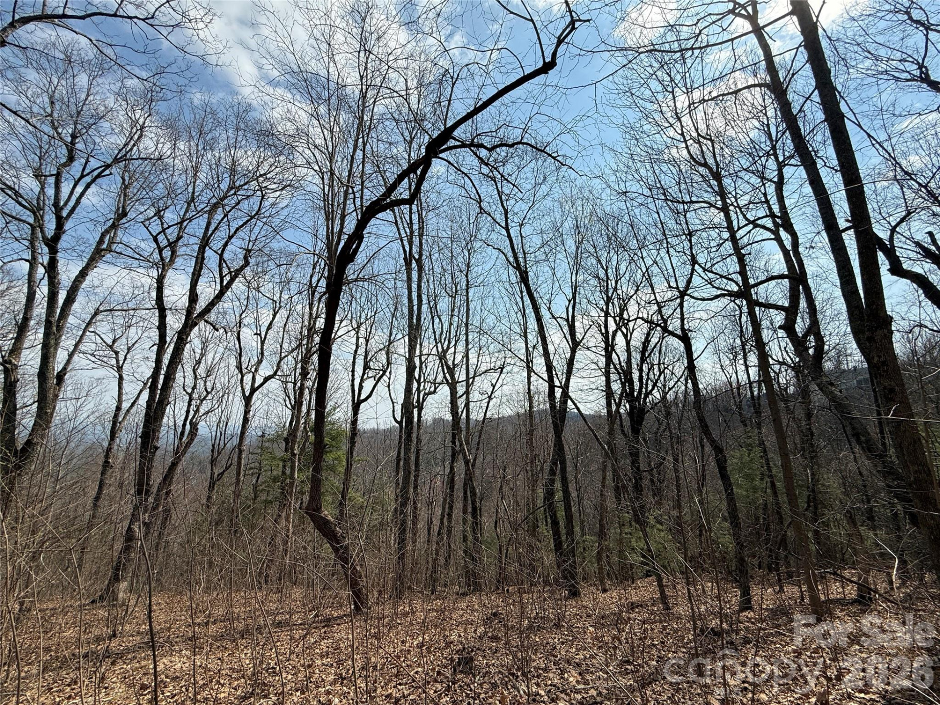 108 Fawncrest Court #51 - R - Photo 15