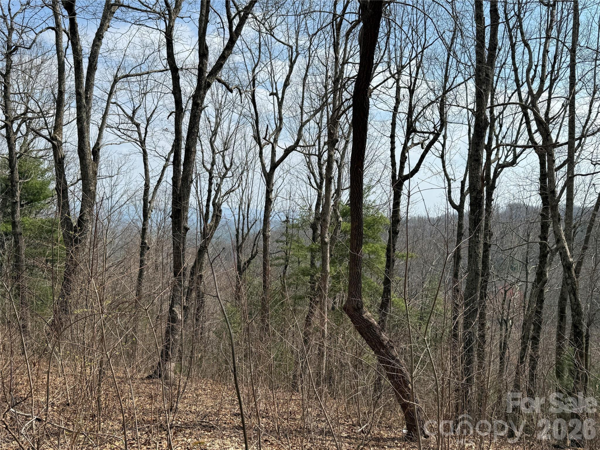 108 Fawncrest Court #51 - R - Photo 18