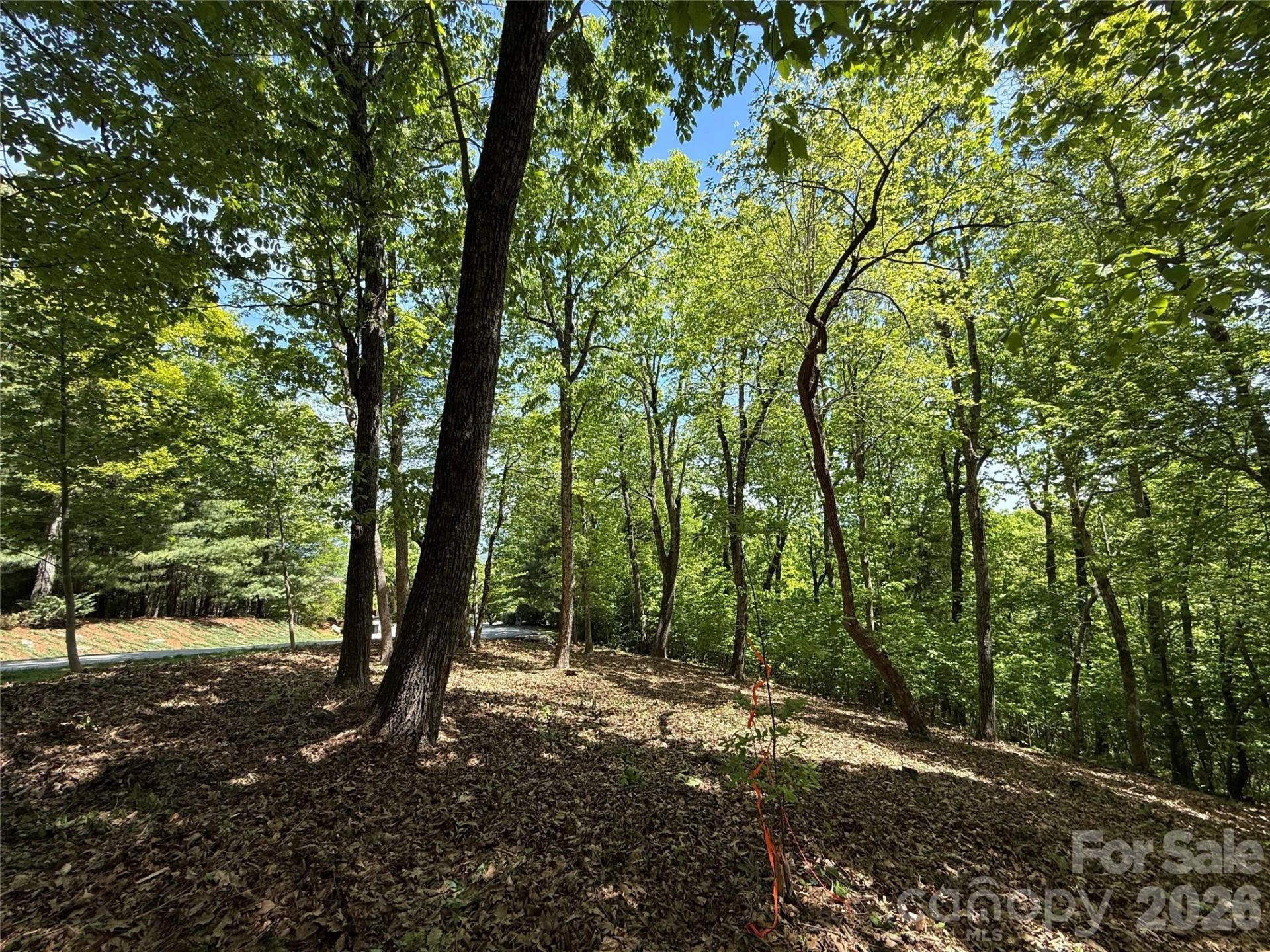 108 Fawncrest Court #51 - R - Photo 24