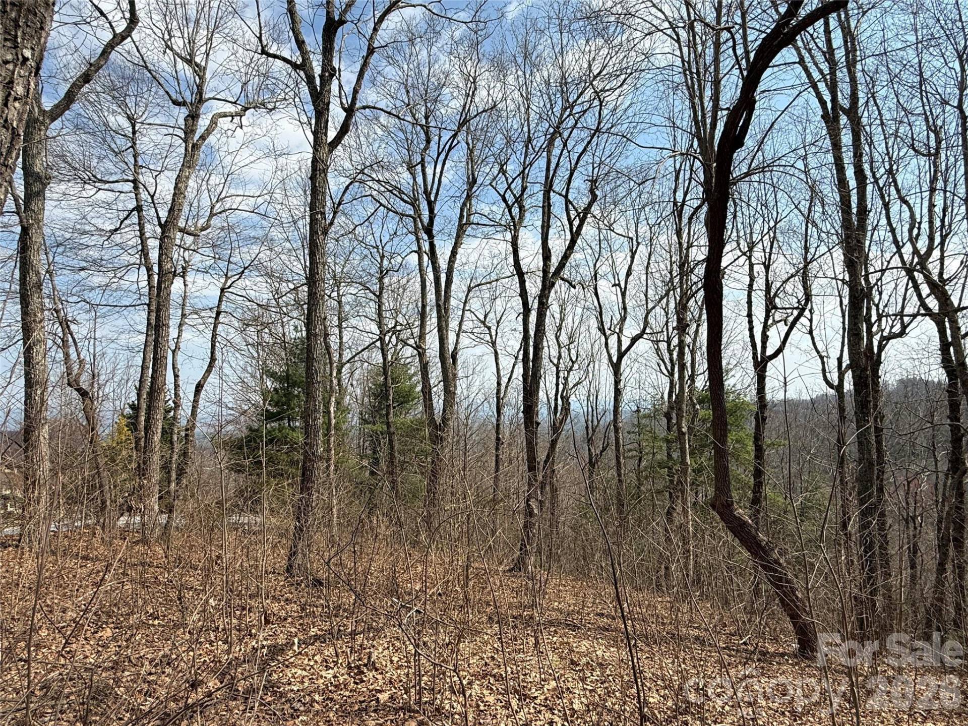 108 Fawncrest Court #51 - R - Photo 20