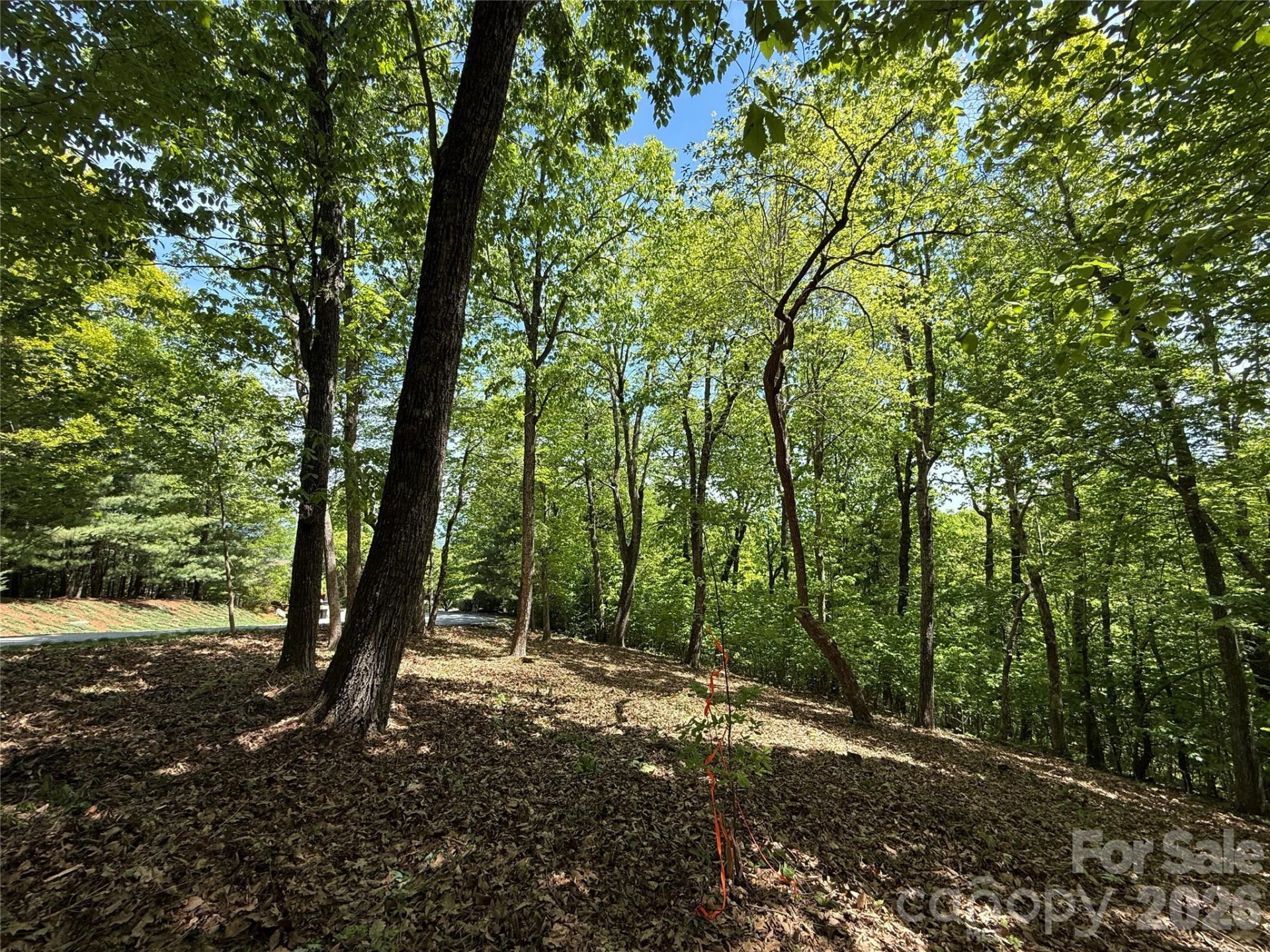 108 Fawncrest Court #51 - R - Photo 27
