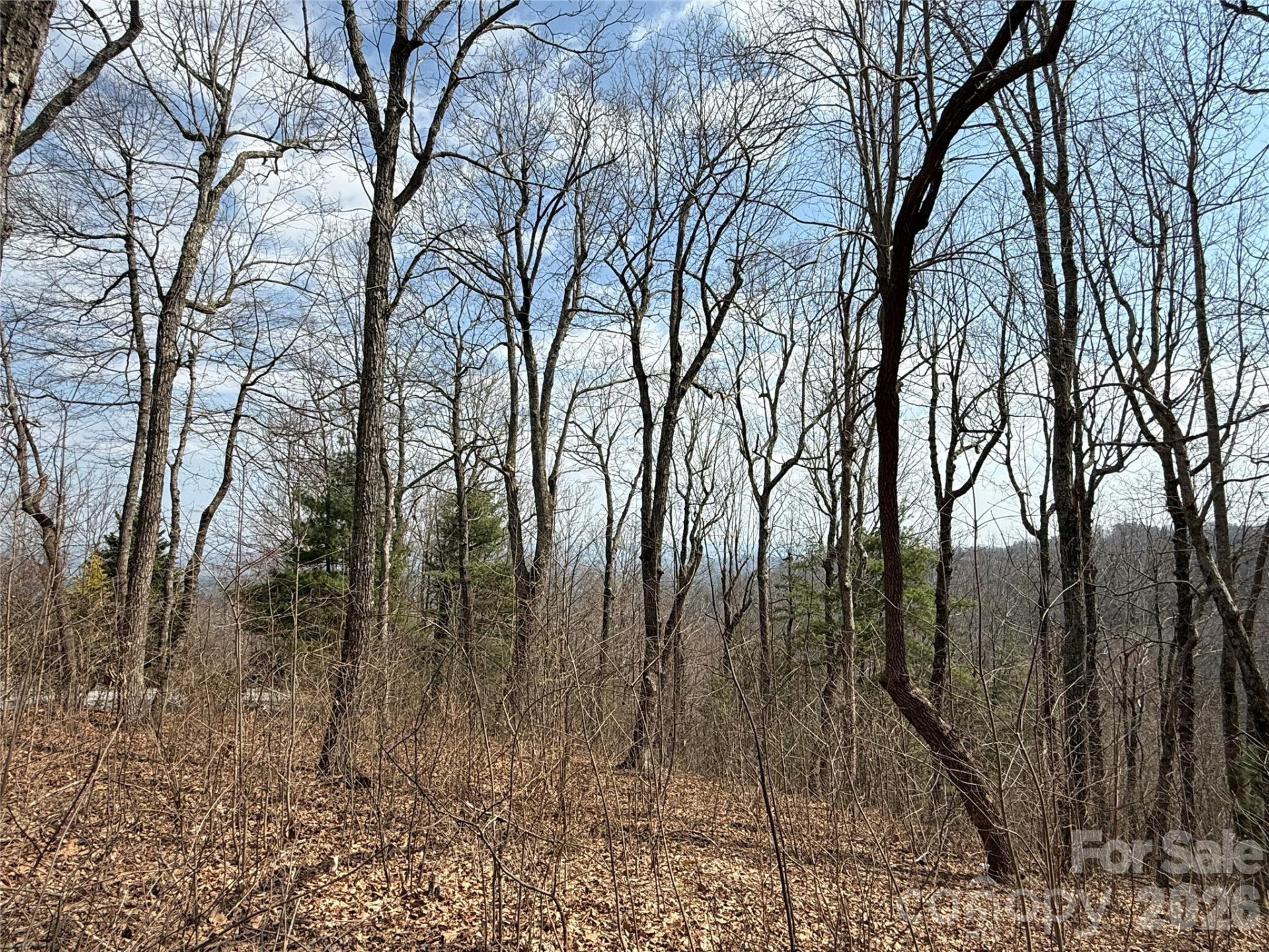 108 Fawncrest Court #51 - R - Photo 21