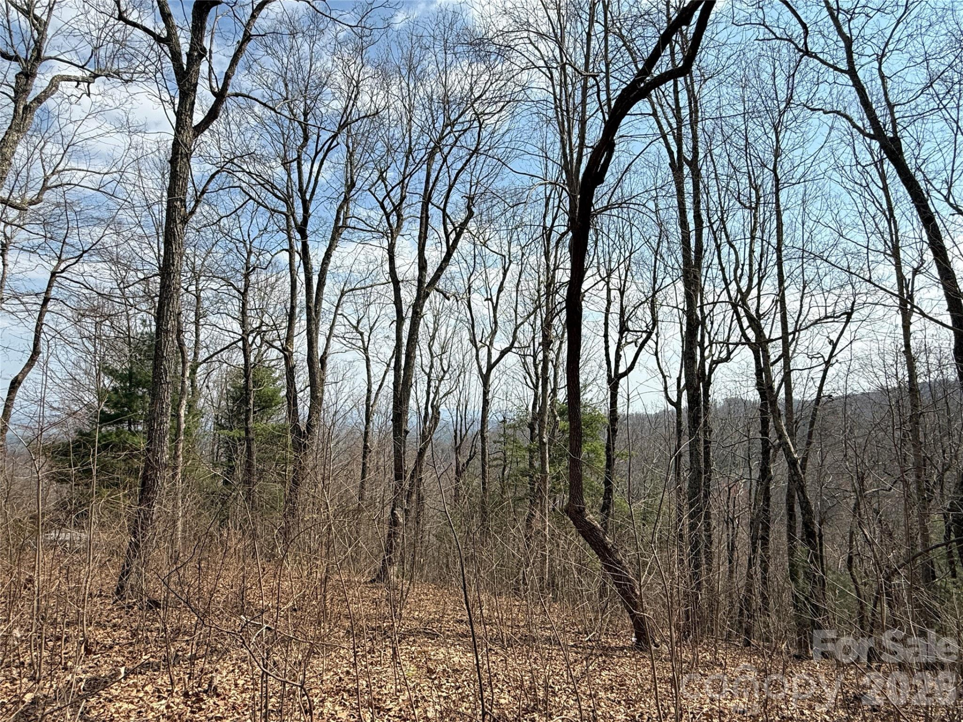 108 Fawncrest Court #51 - R - Photo 22