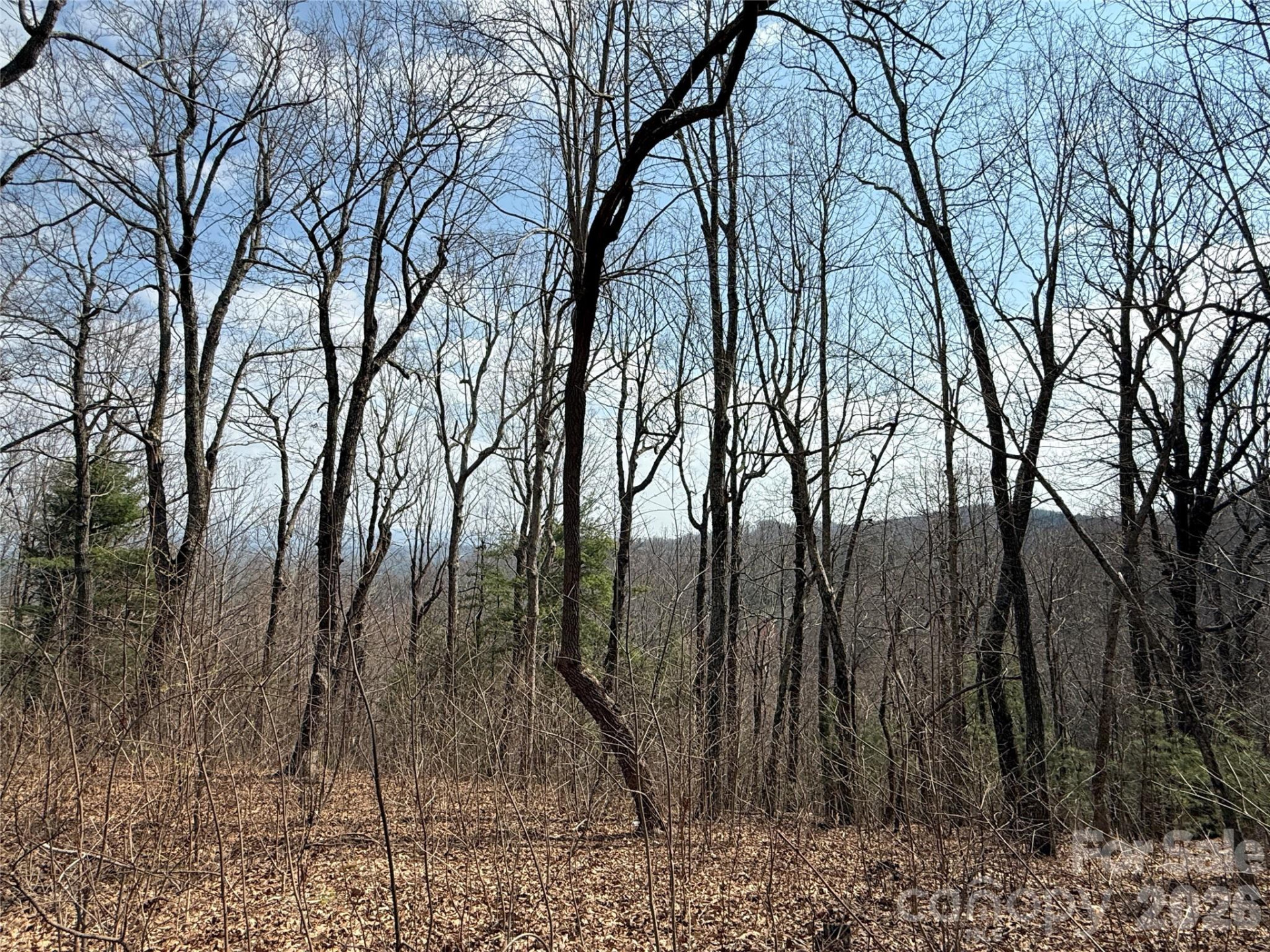 108 Fawncrest Court #51 - R - Photo 23