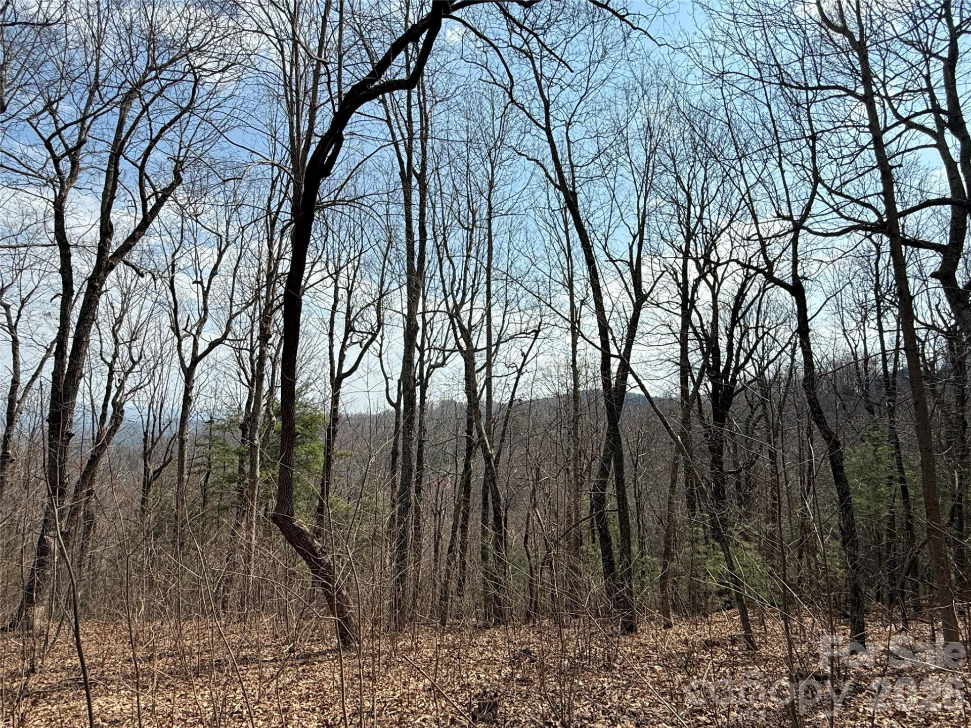 108 Fawncrest Court #51 - R - Photo 24