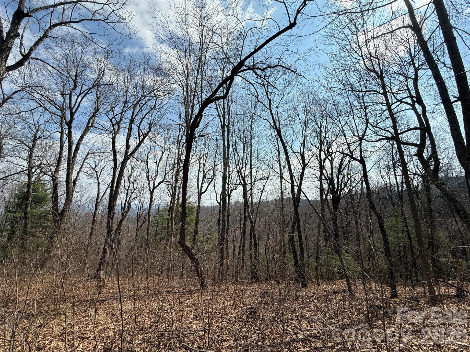 108 Fawncrest Court #51 - R - Photo 25