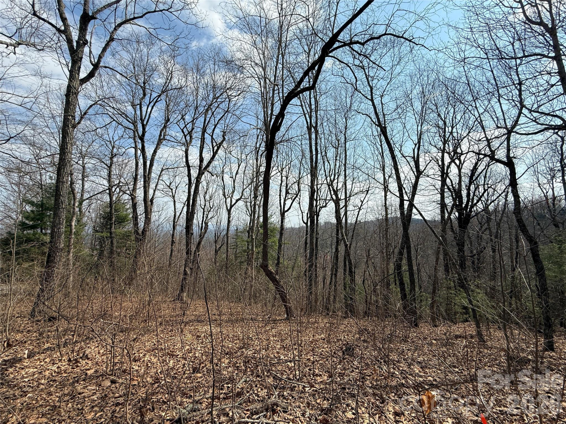 108 Fawncrest Court #51 - R - Photo 26