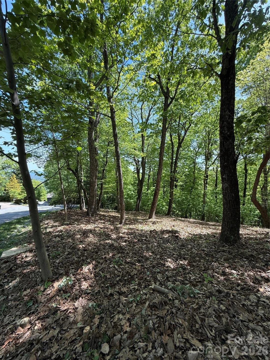 108 Fawncrest Court #51 - R - Photo 35