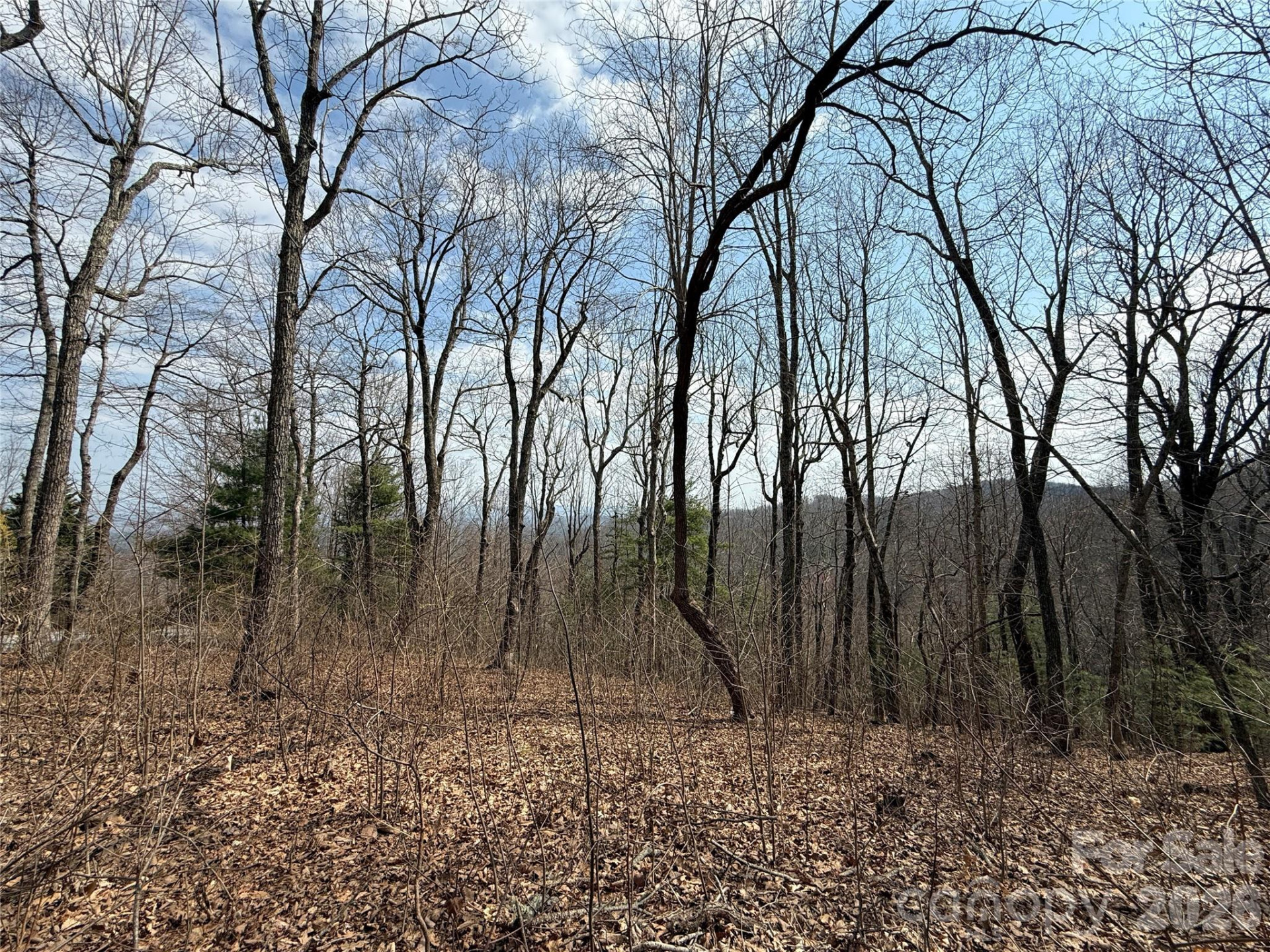 108 Fawncrest Court #51 - R - Photo 27