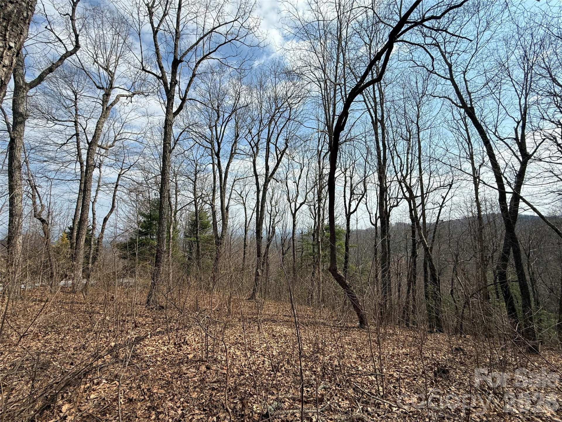 108 Fawncrest Court #51 - R - Photo 28