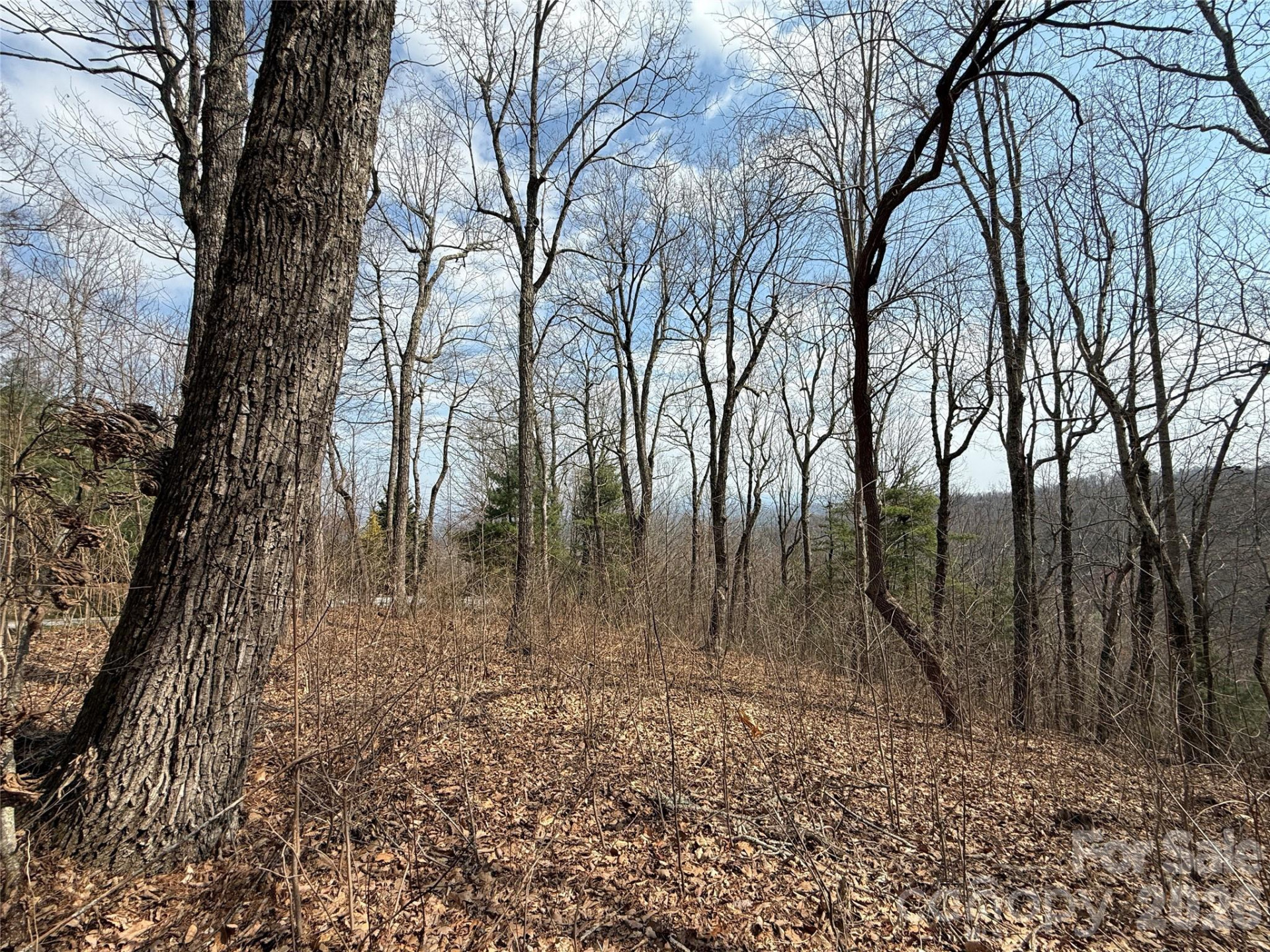 108 Fawncrest Court #51 - R - Photo 29