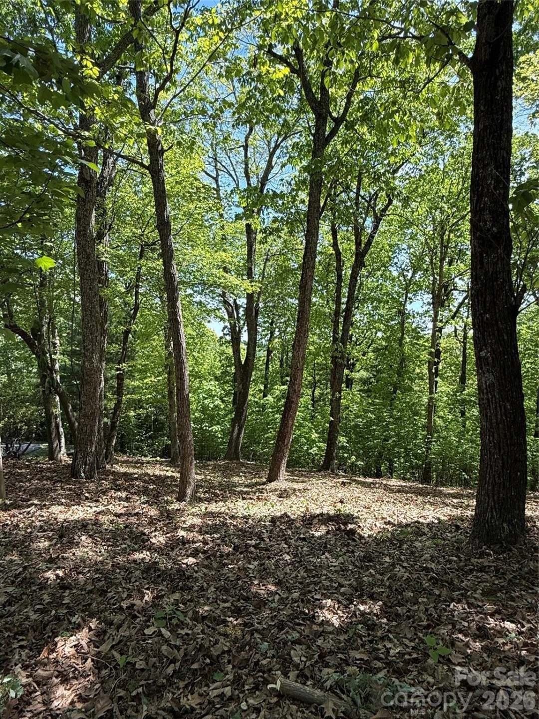 108 Fawncrest Court #51 - R - Photo 39
