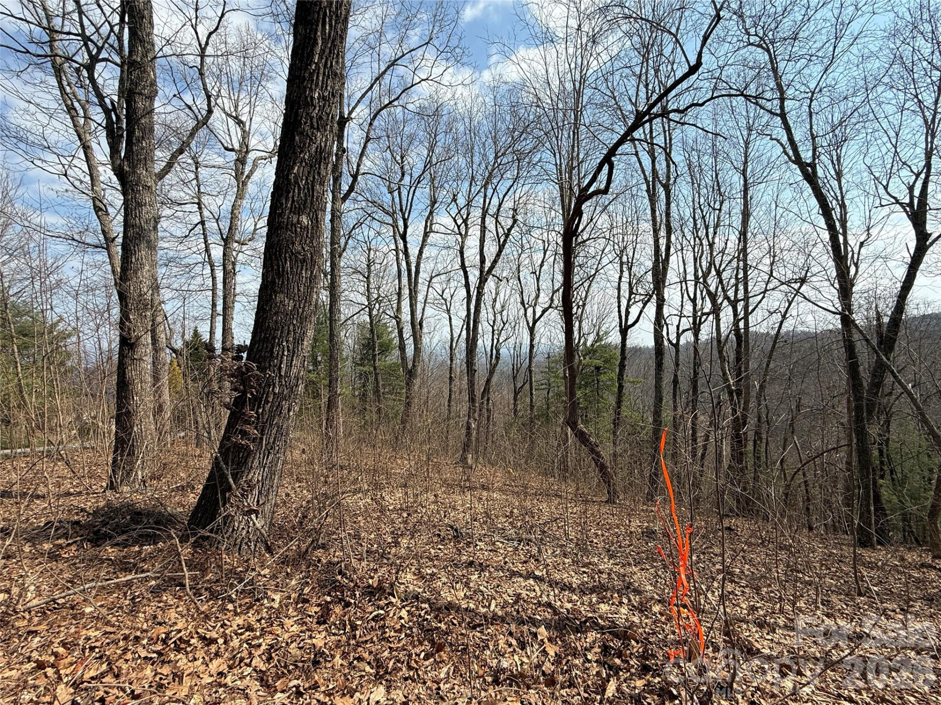 108 Fawncrest Court #51 - R - Photo 31