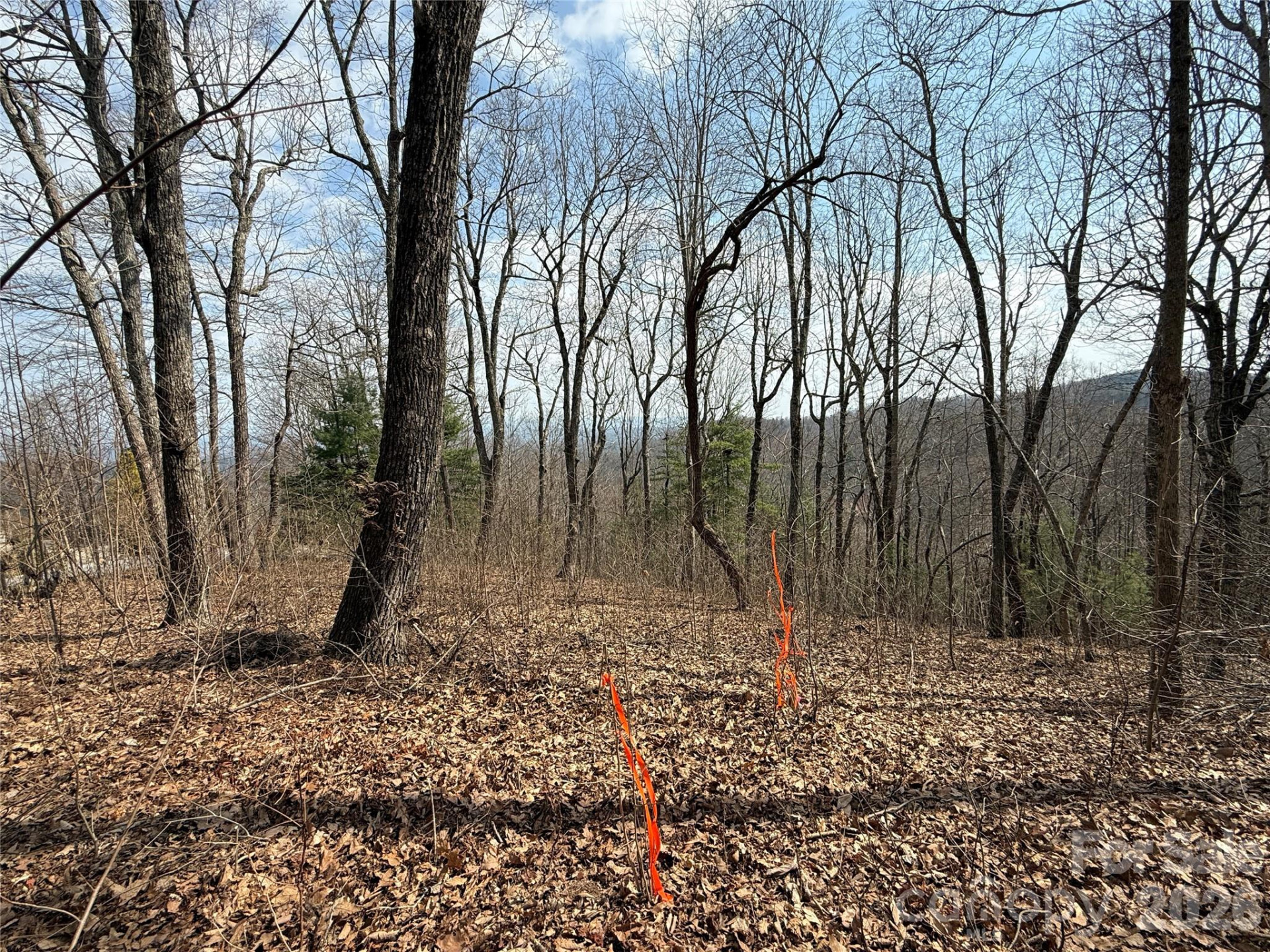 108 Fawncrest Court #51 - R - Photo 32