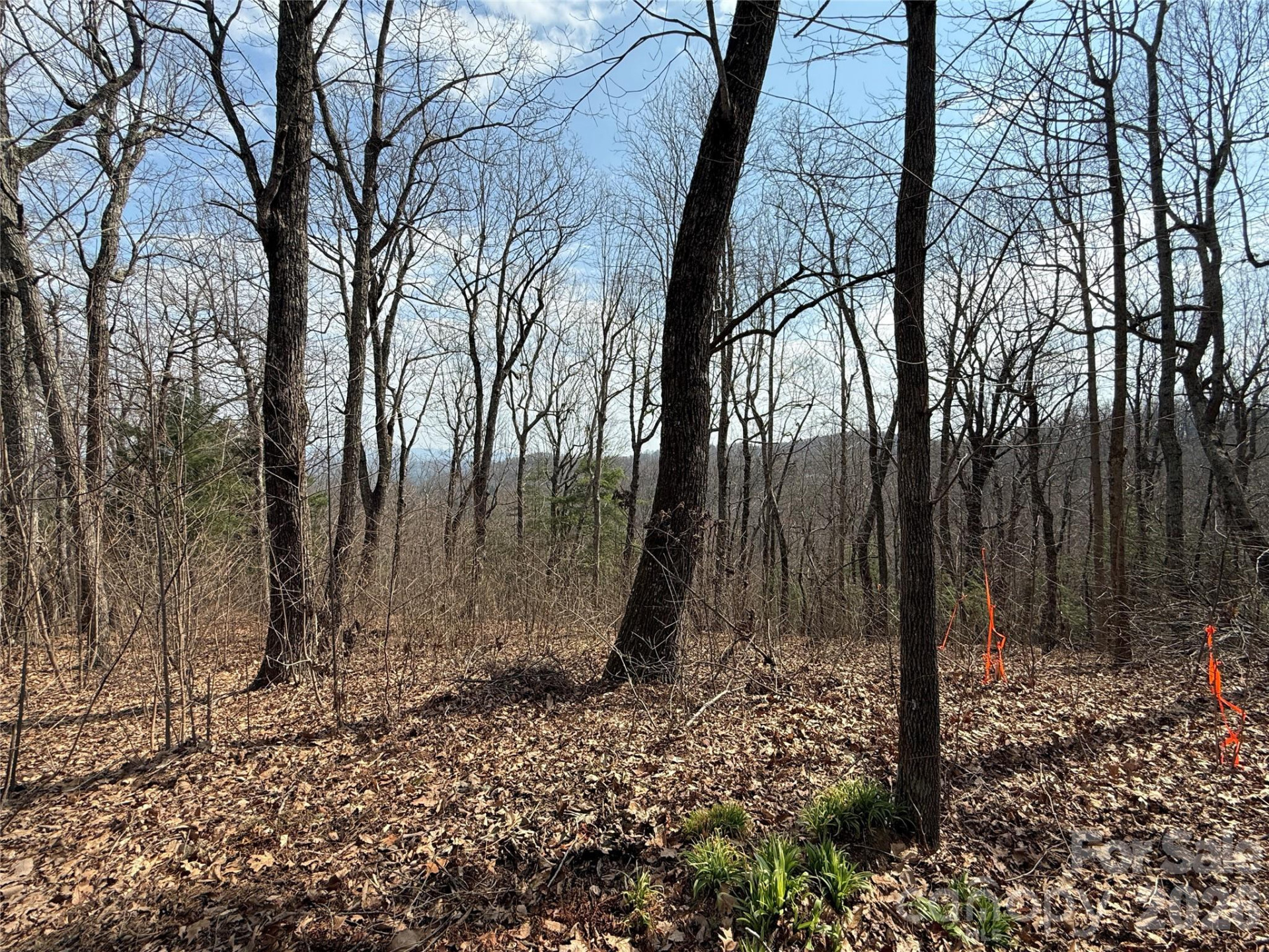 108 Fawncrest Court #51 - R - Photo 33