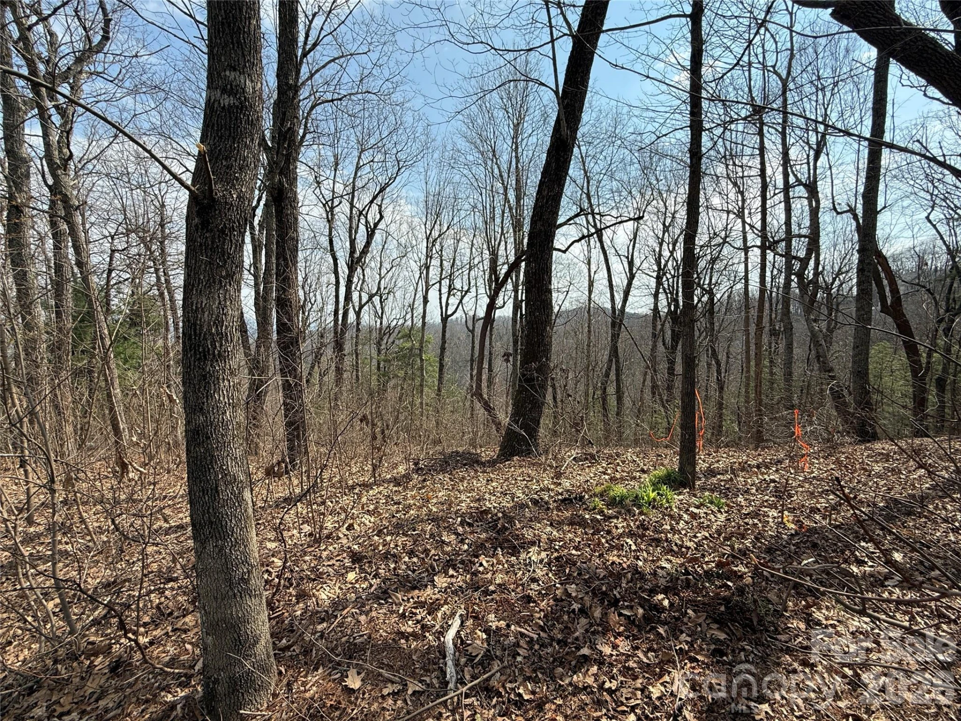 108 Fawncrest Court #51 - R - Photo 45