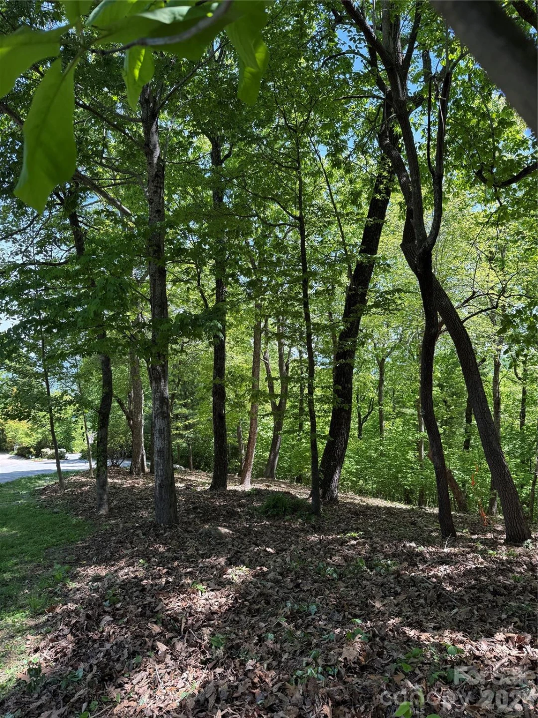 108 Fawncrest Court #51 - R - Photo 7
