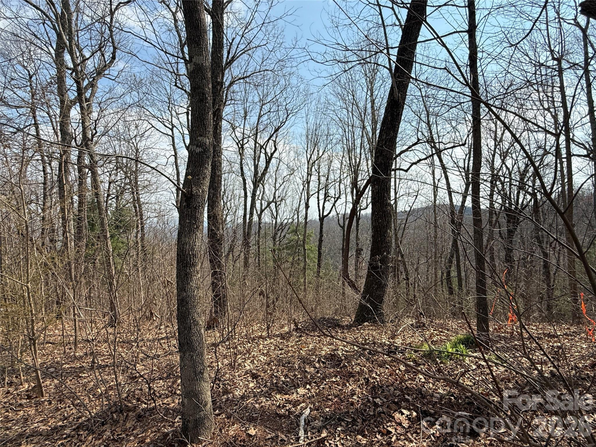 108 Fawncrest Court #51 - R - Photo 7