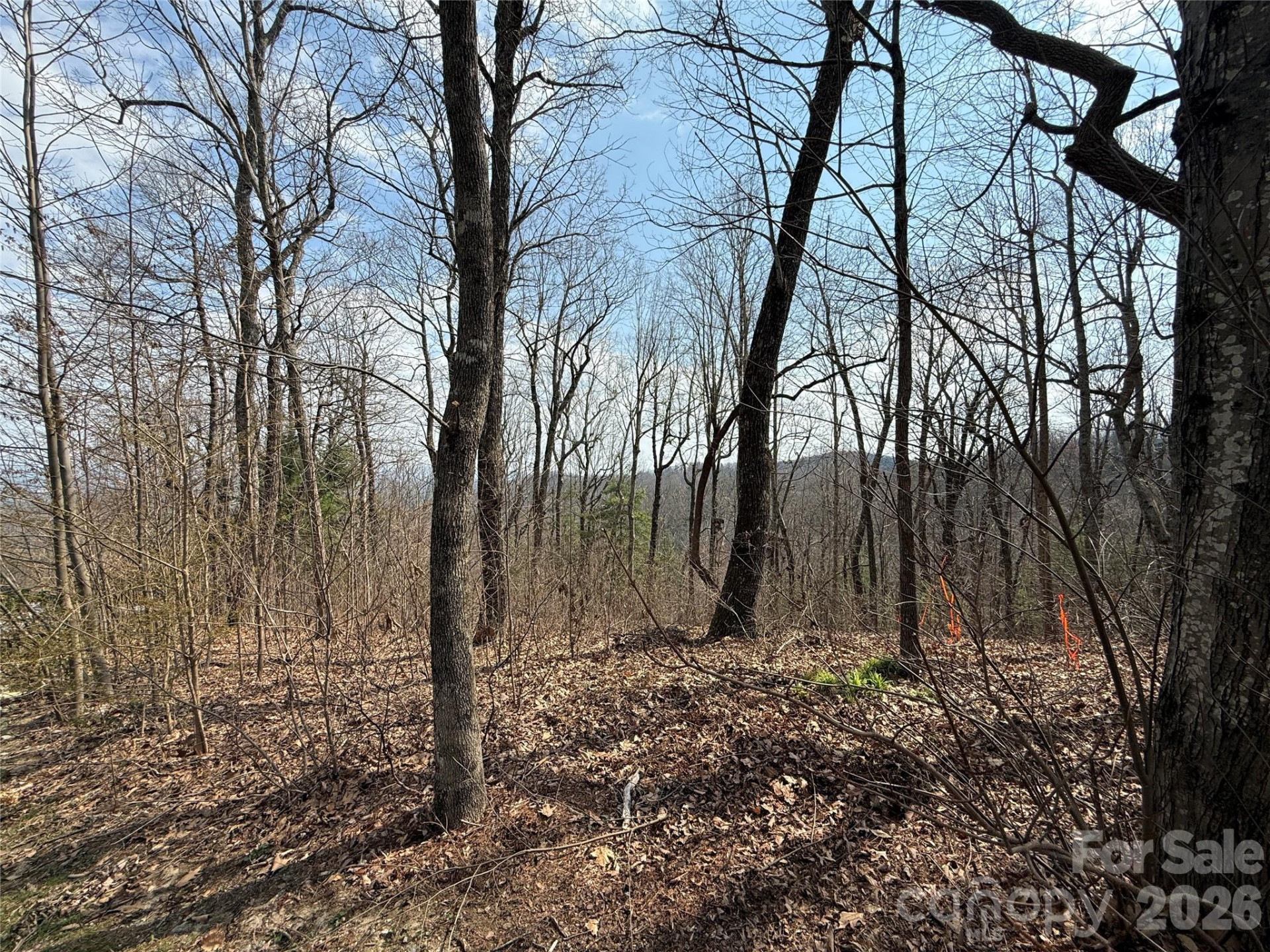 108 Fawncrest Court #51 - R - Photo 8