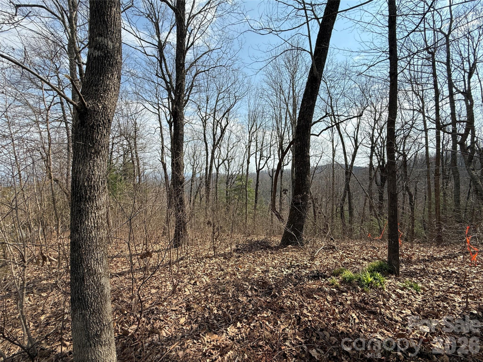 108 Fawncrest Court #51 - R - Photo 10