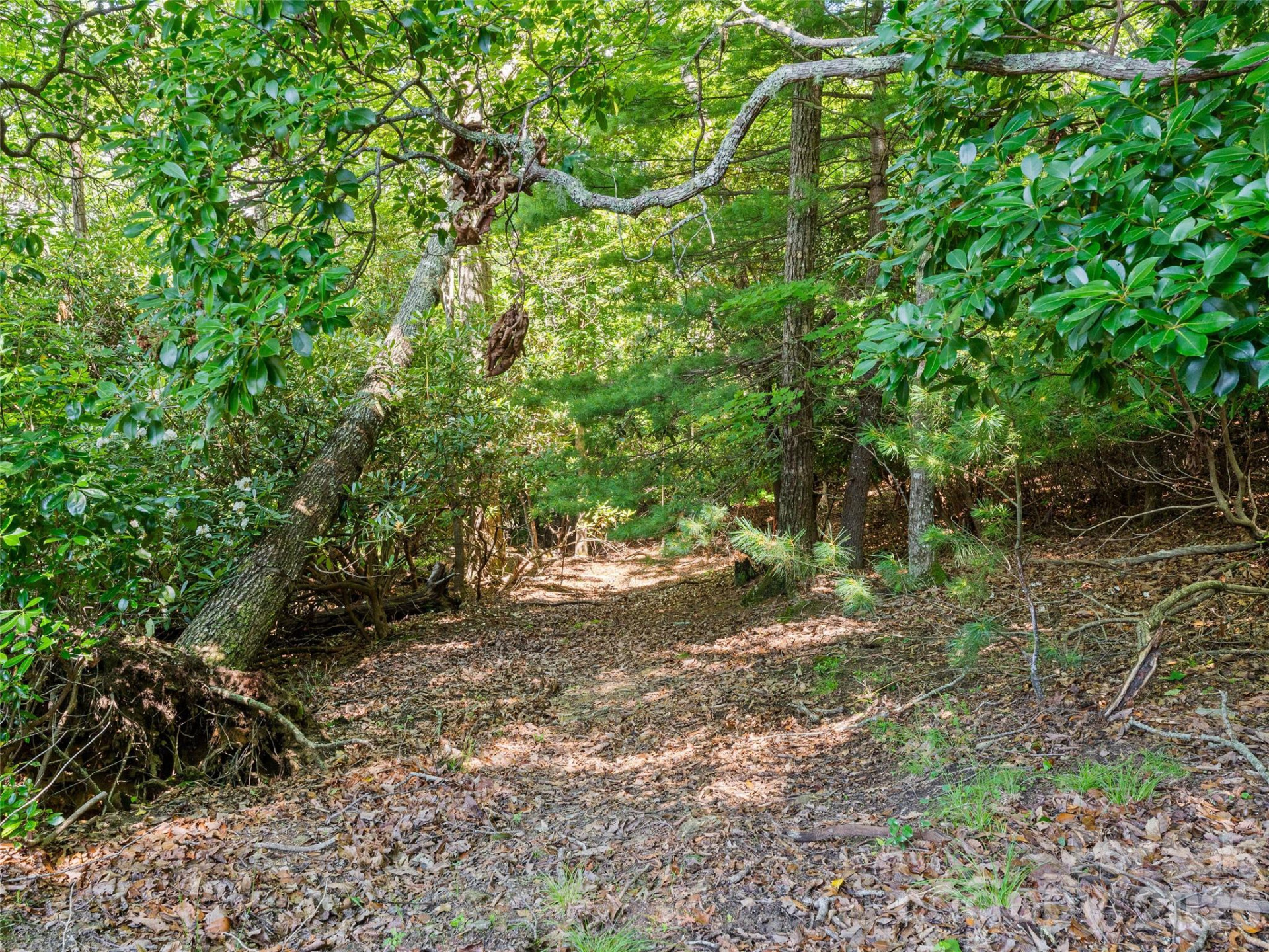 1909 Kentwood Lane - Photo 46