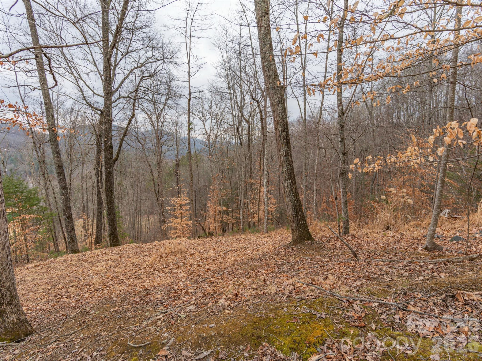 189 Sandys Home Place #Lot 7B - Photo 12