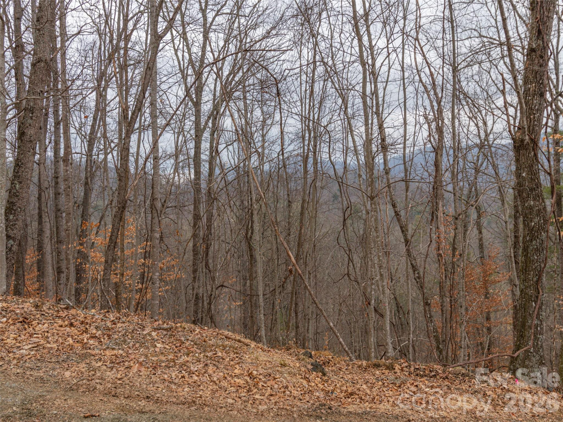 189 Sandys Home Place #Lot 7B - Photo 13