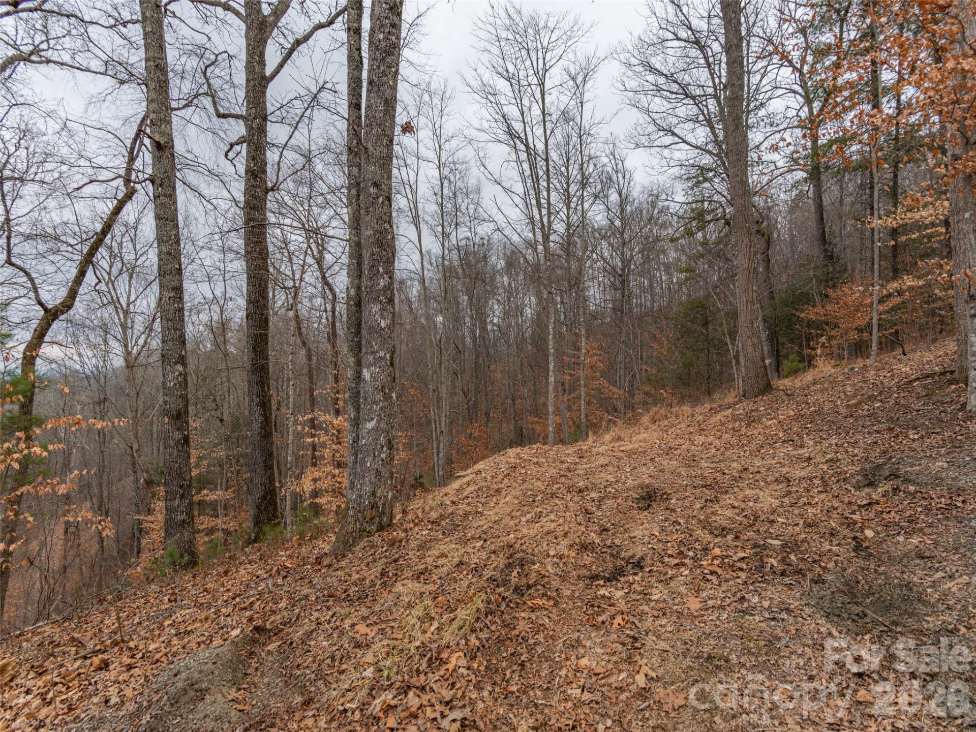 189 Sandys Home Place #Lot 7B - Photo 9